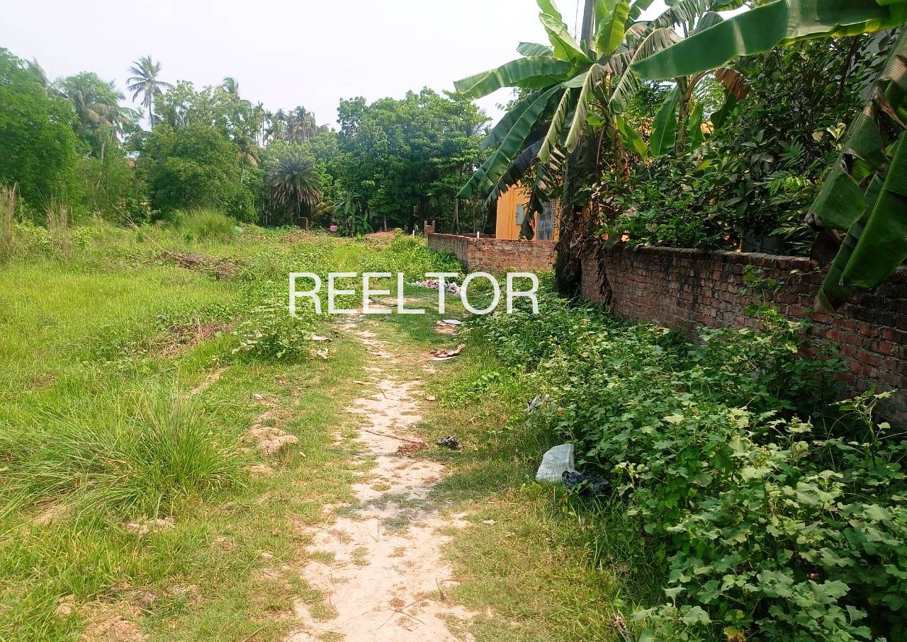 Plots For Sale In Peepakla Rawatbhata
