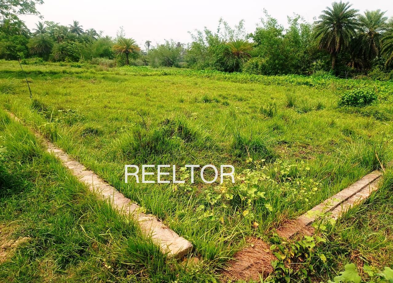 Plots For Sale In Rajdoli Rajgarh