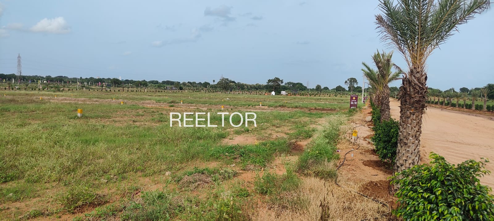 Plots For Sale In Kasal Hathnoora