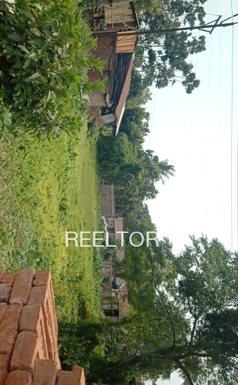 Plots For Sale In Matili Rathan Ganganagar