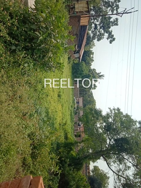 Plots For Sale In Tsokilpur Shangus