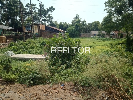 Plots For Sale In Haatkhola Barasat