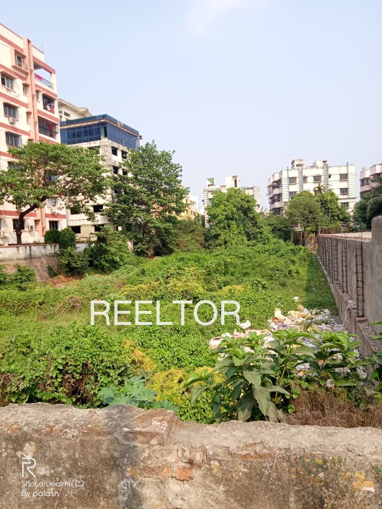 Plots For Sale In Tsokilpur Shangus