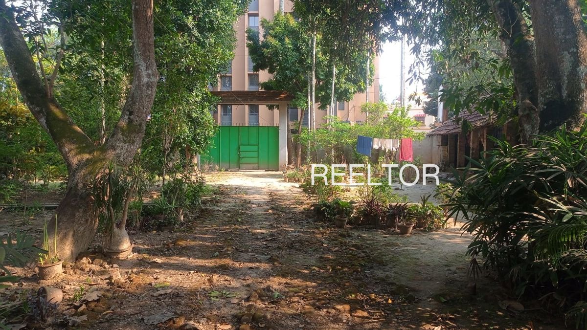 Plots For Sale In Pagariya Pachpahar