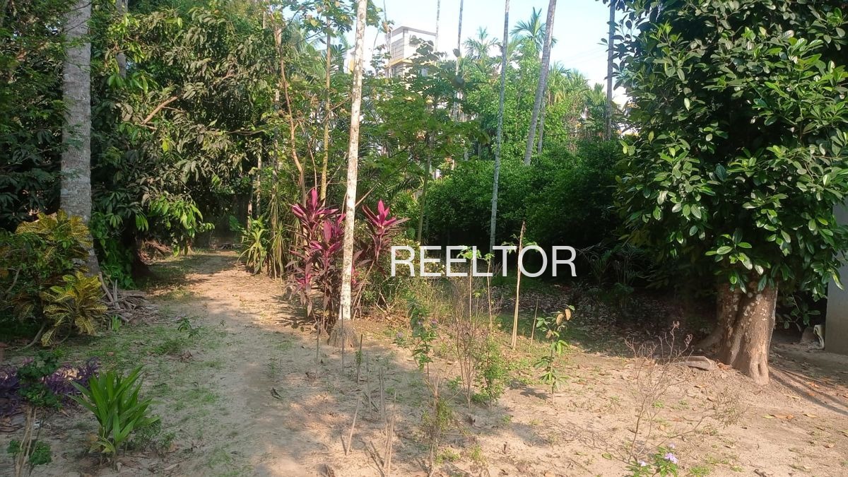 Plots For Sale In Rajdoli Rajgarh