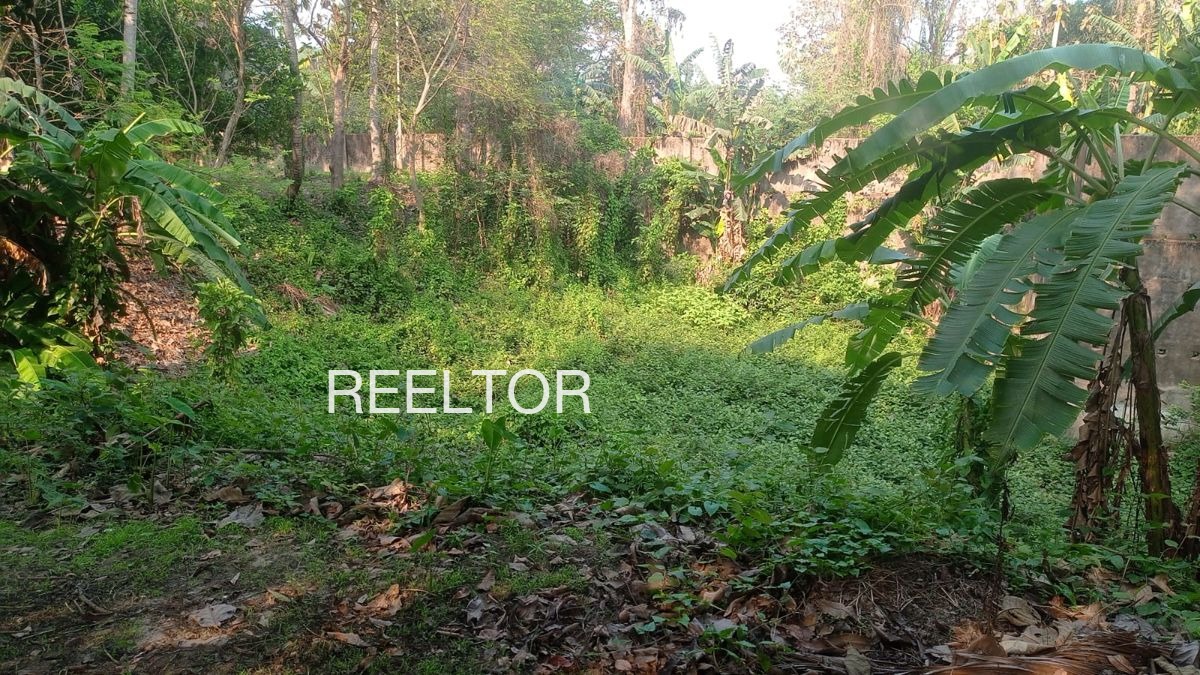 Plots For Sale In Roopa Sau Ki Dhani Chohtan