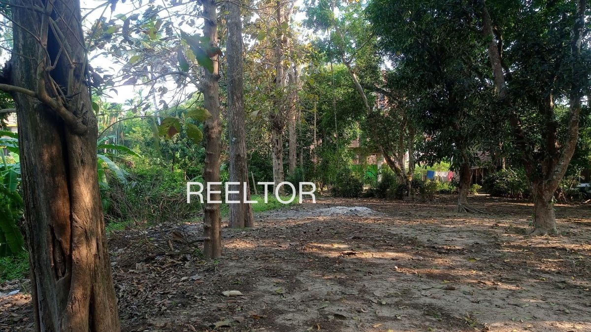 Plots For Sale In Belati Tola Tiroda