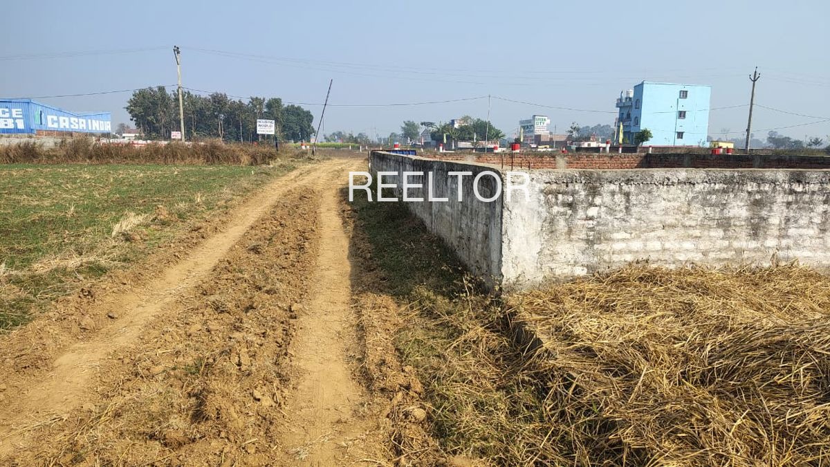Plots For Sale In Gadhi Mehgaon