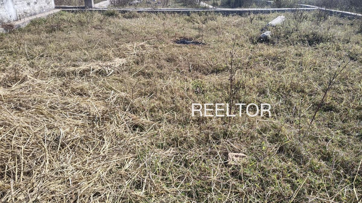 Plots For Sale In Nangal Tola Ajnala