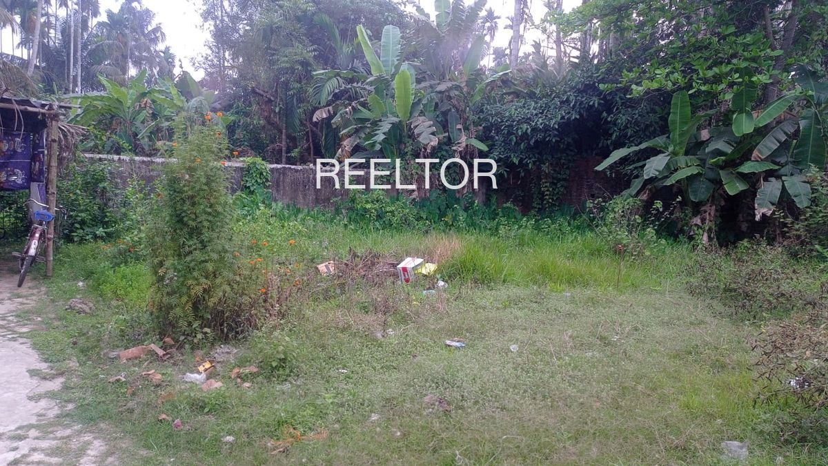 Plots For Sale In Barbaspur Lalbarra