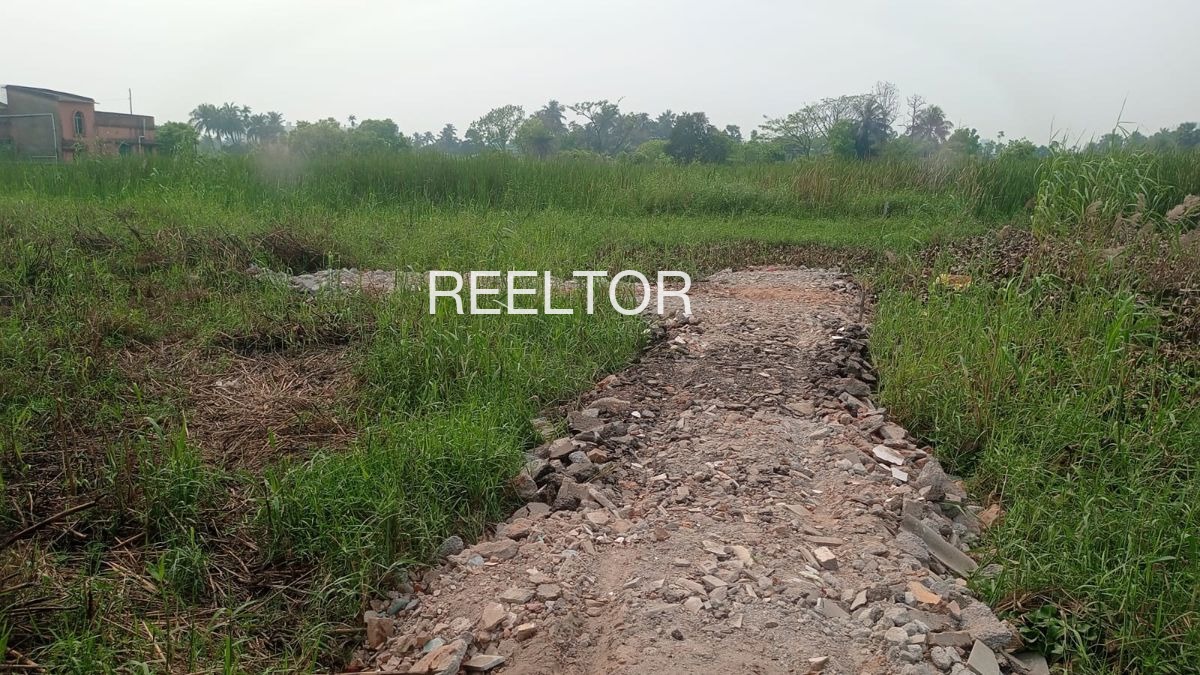 Plots For Sale In Kondri Bilari