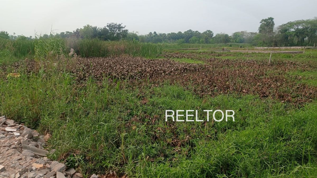 Plots For Sale In Balvanthapur Duggondi