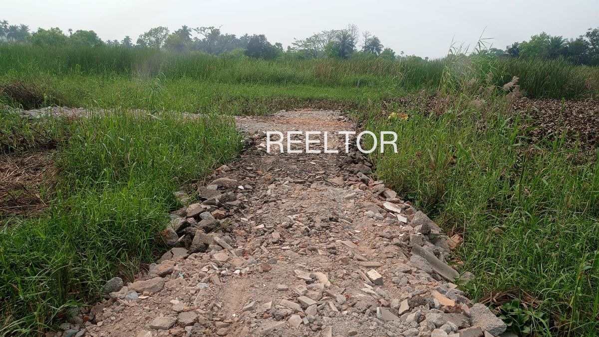 Plots For Sale In Samudhana Khalwa