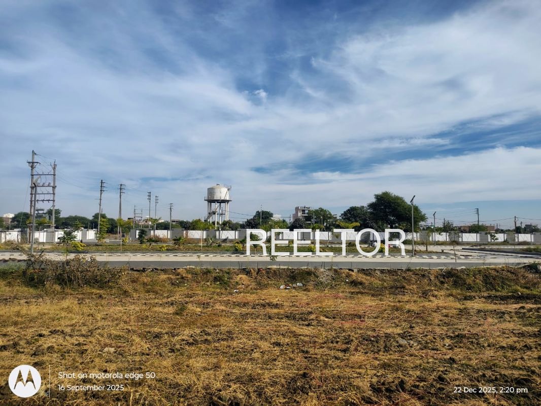 Plots For Sale In Tsokilpur Shangus