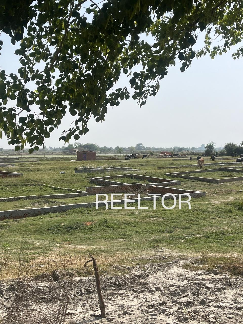 Plots For Sale In Bajhol Seoni