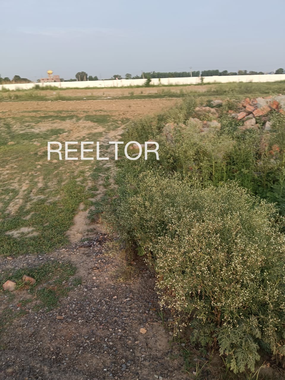 Plots For Sale In Kokri Phula Singh Moga