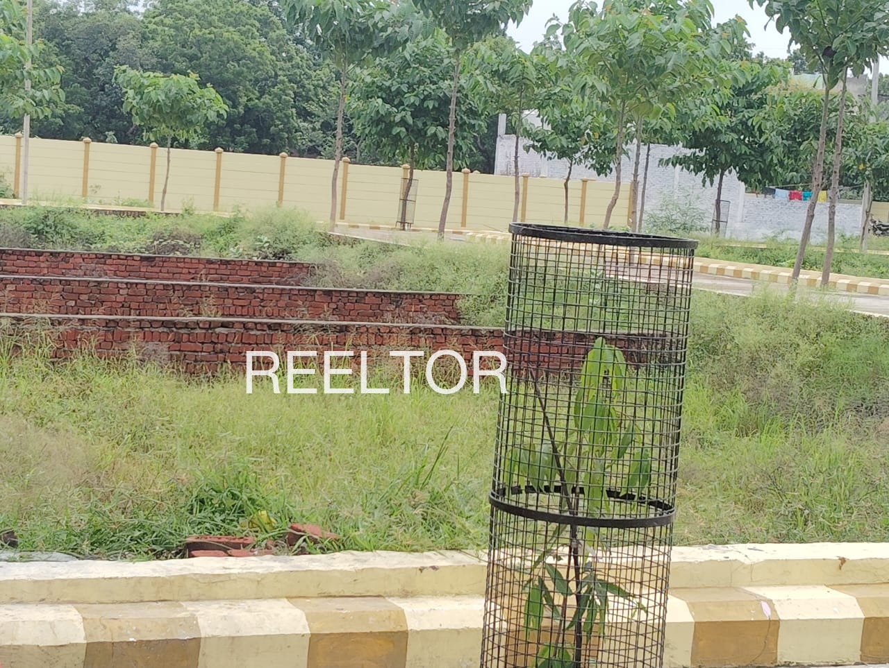 Plots For Sale In Chhayan Khurd Chhoti Sadri