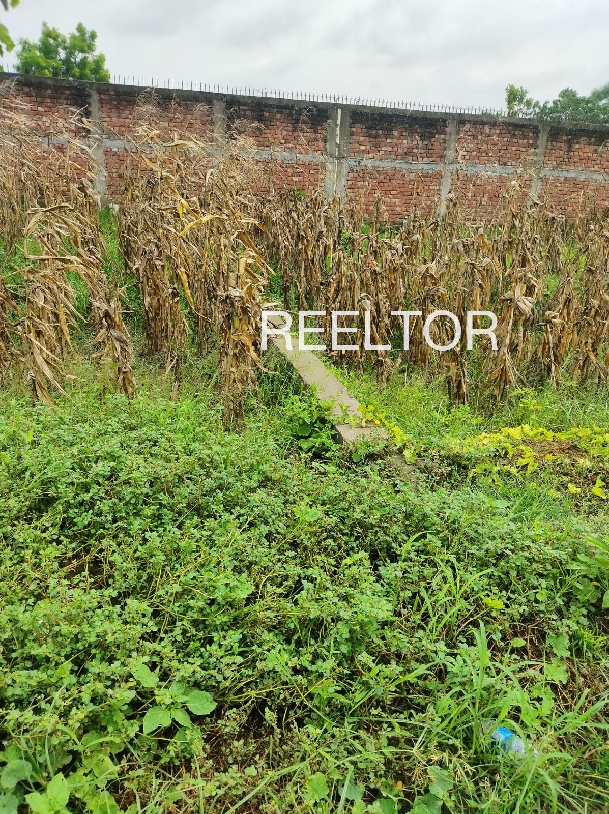 Plots For Sale In Thottumuzhi Thamarassery