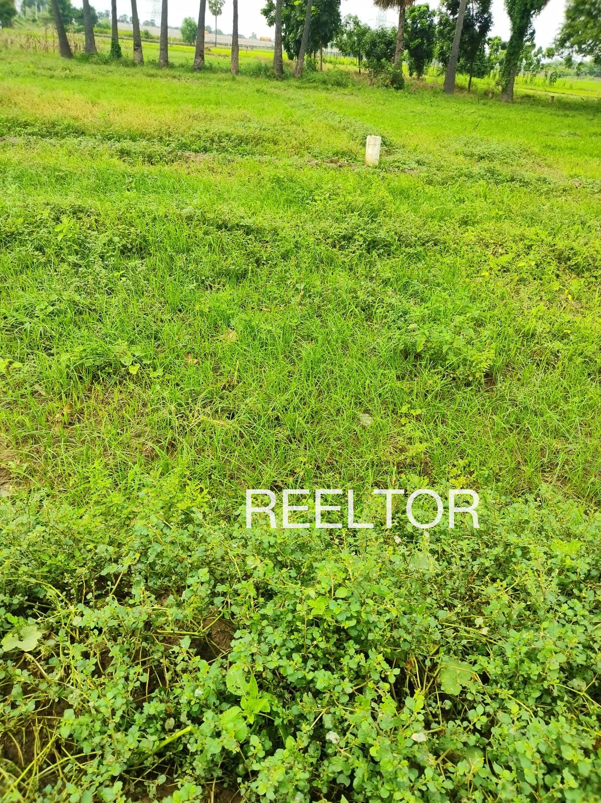 Plots For Sale In Ajande Shirpur