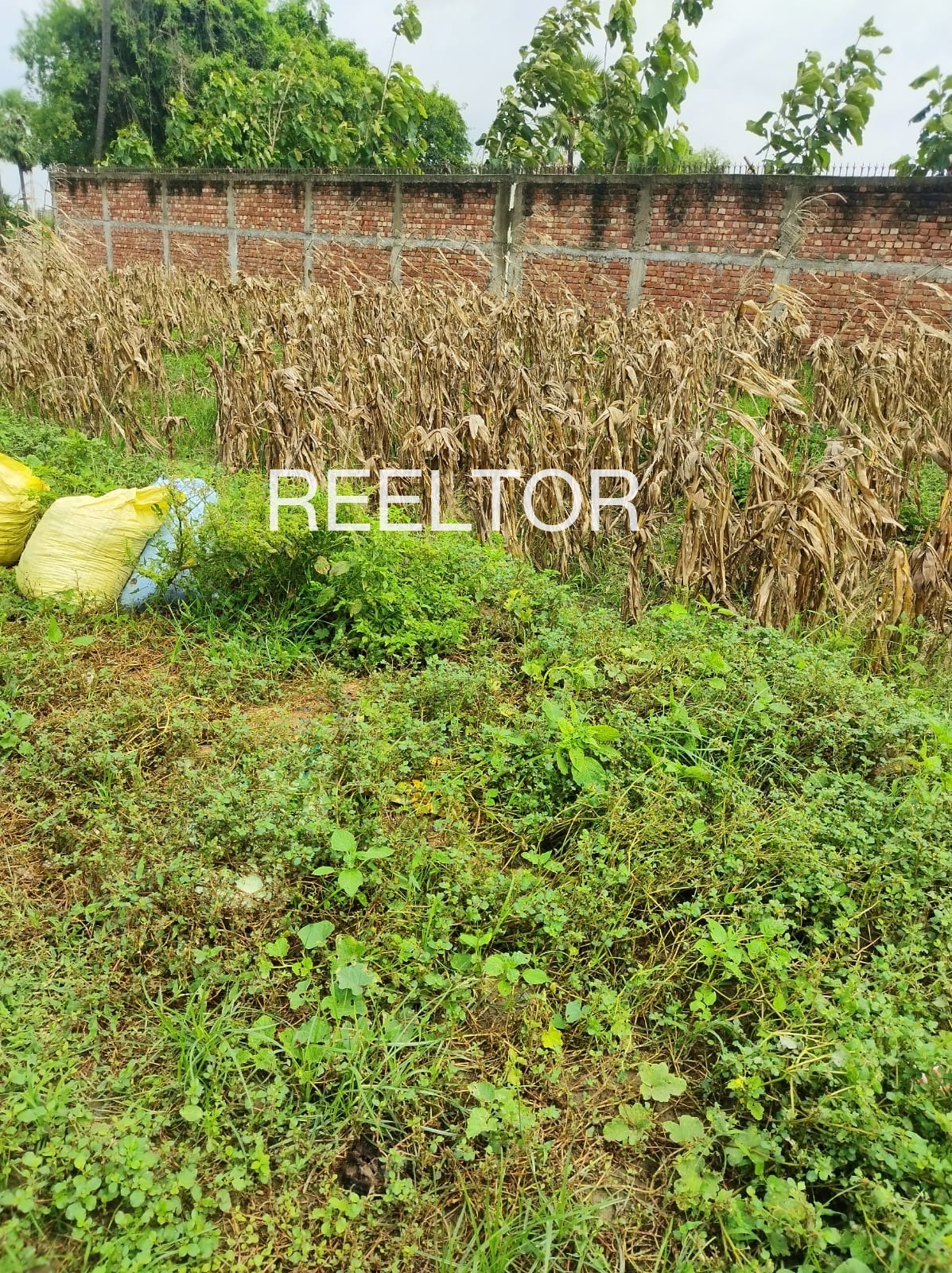 Plots For Sale In Rajpur Khair