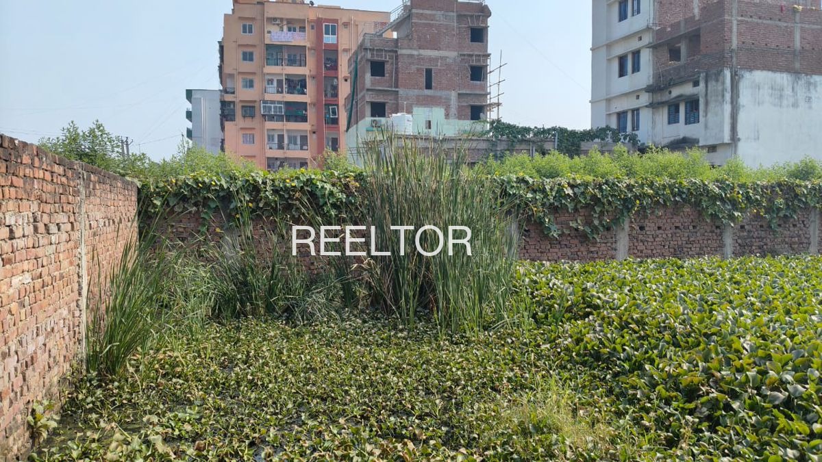 Plots For Sale In Nangal Tola Ajnala