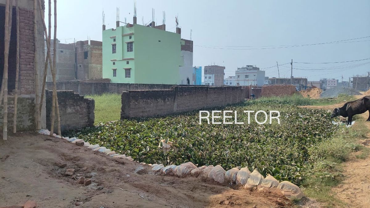 Plots For Sale In Bhamb Mahagaon