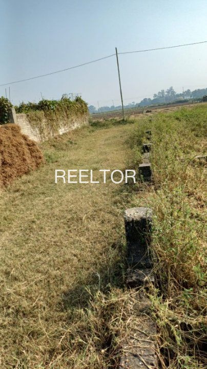 Plots For Sale In Mulchera Maharashtra