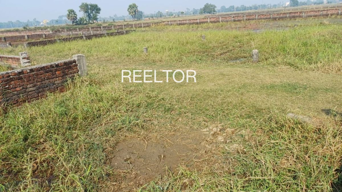 Plots For Sale In Bamhanbai Hazaribagh