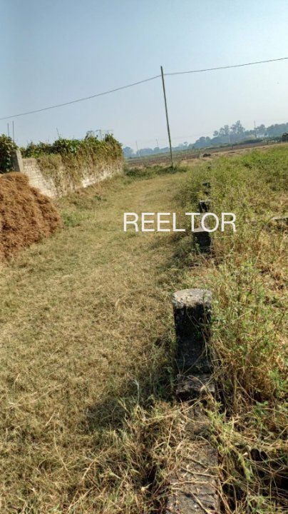 Plots For Sale In Dalelpura Hindoli