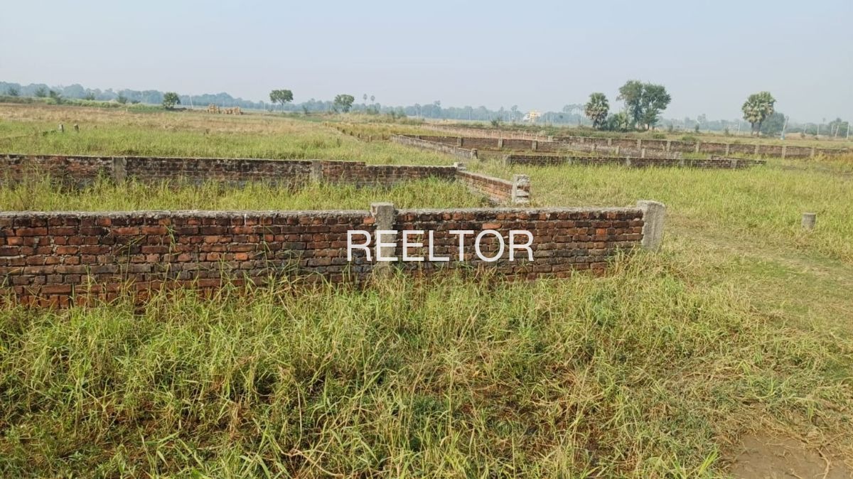 Plots For Sale In Sandrankottai Vellore