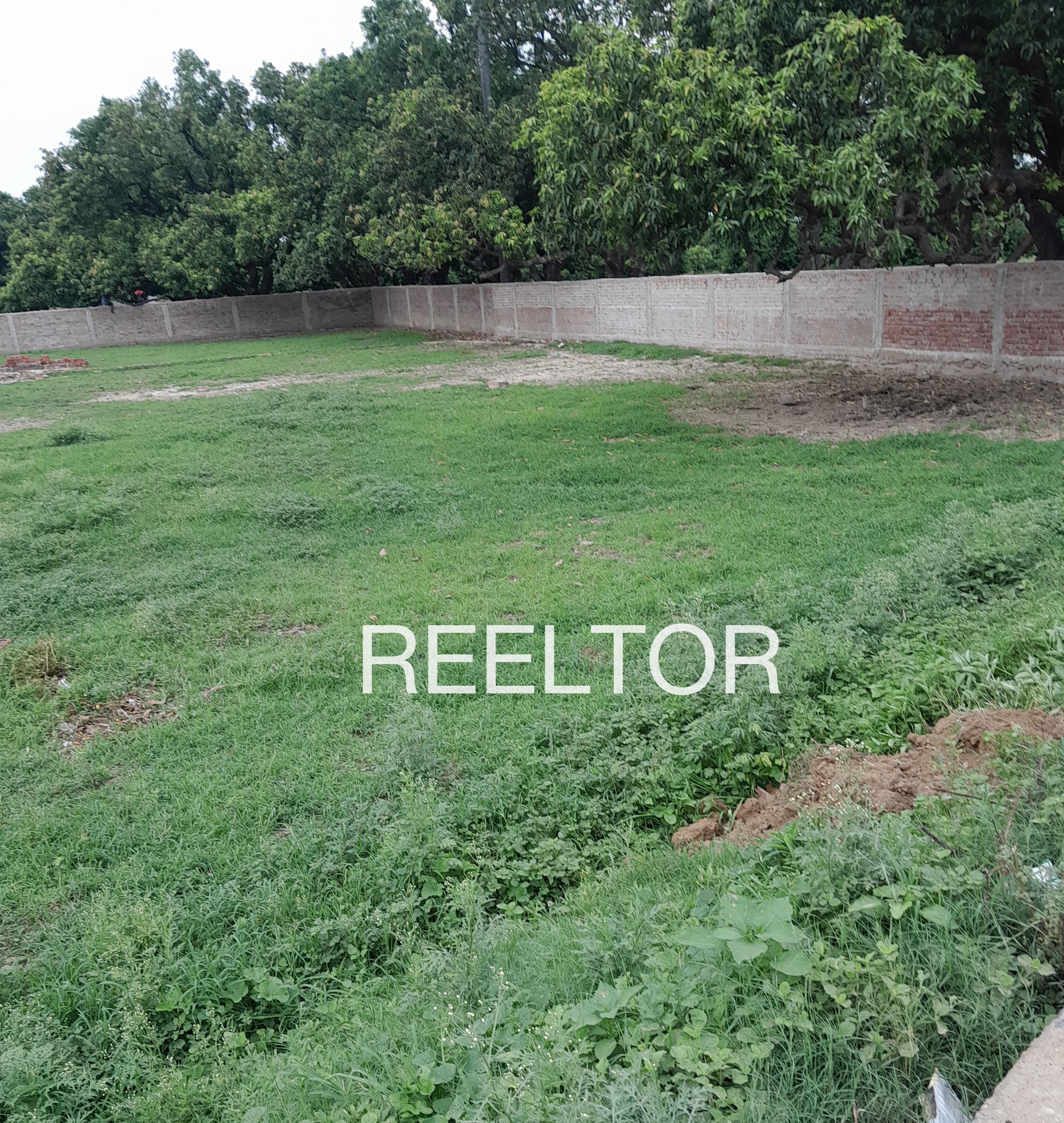 Plots For Sale In Matili Rathan Ganganagar