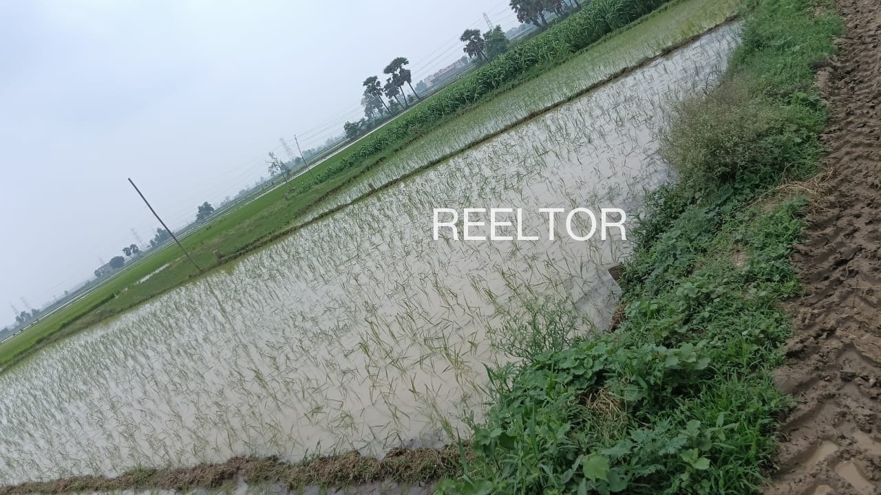 Plots For Sale In Itka Nainpur