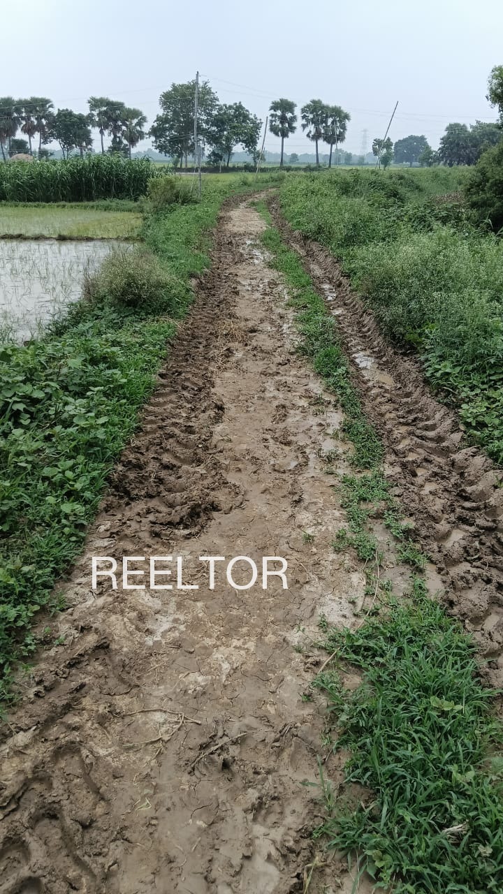 Plots For Sale In Kochukarimtharuvi Peerumade