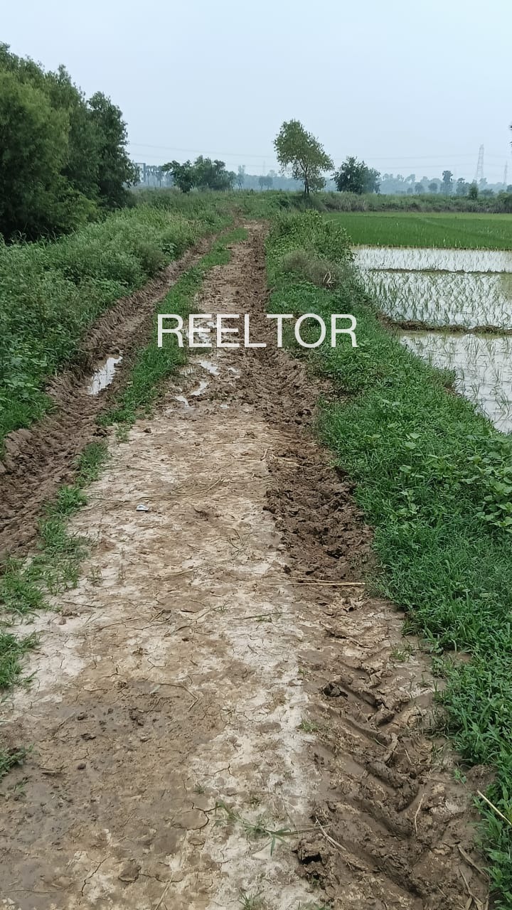 Plots For Sale In Achankunnu Thrissur