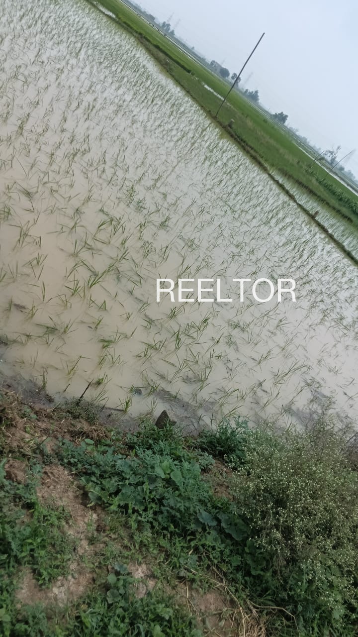 Plots For Sale In Surgaon Khandwa