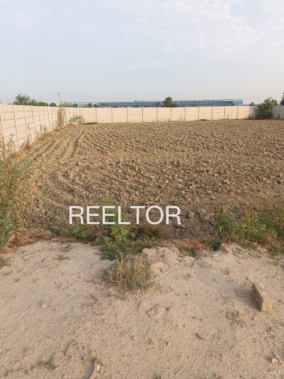 Plots For Sale In Lavhalwadi Akola