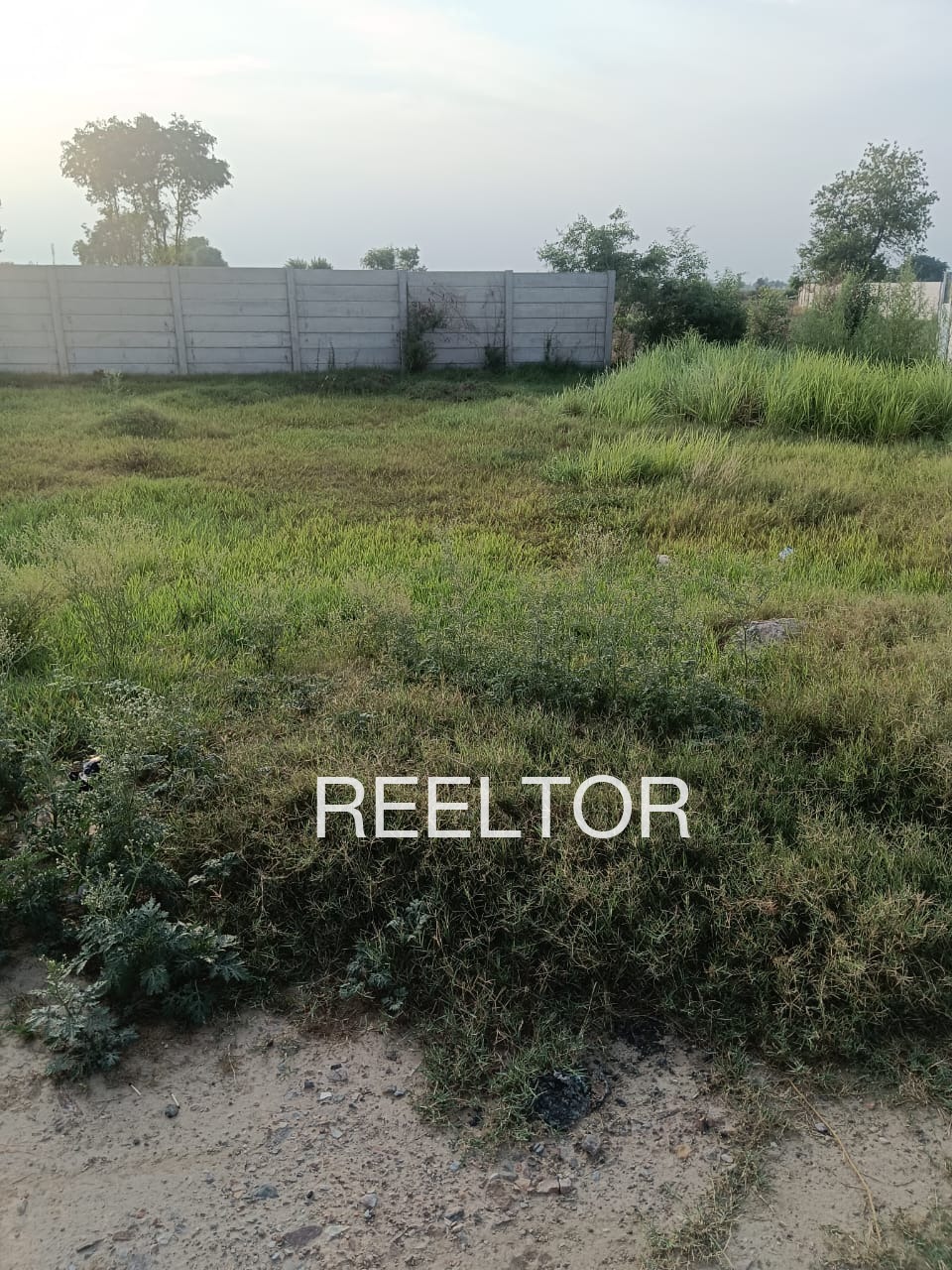 Plots For Sale In Dasipur Gyaraspur