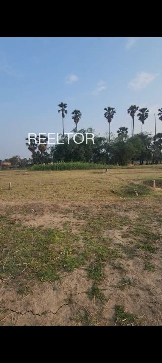 Plots For Sale In Nedungotu Colony Adoor
