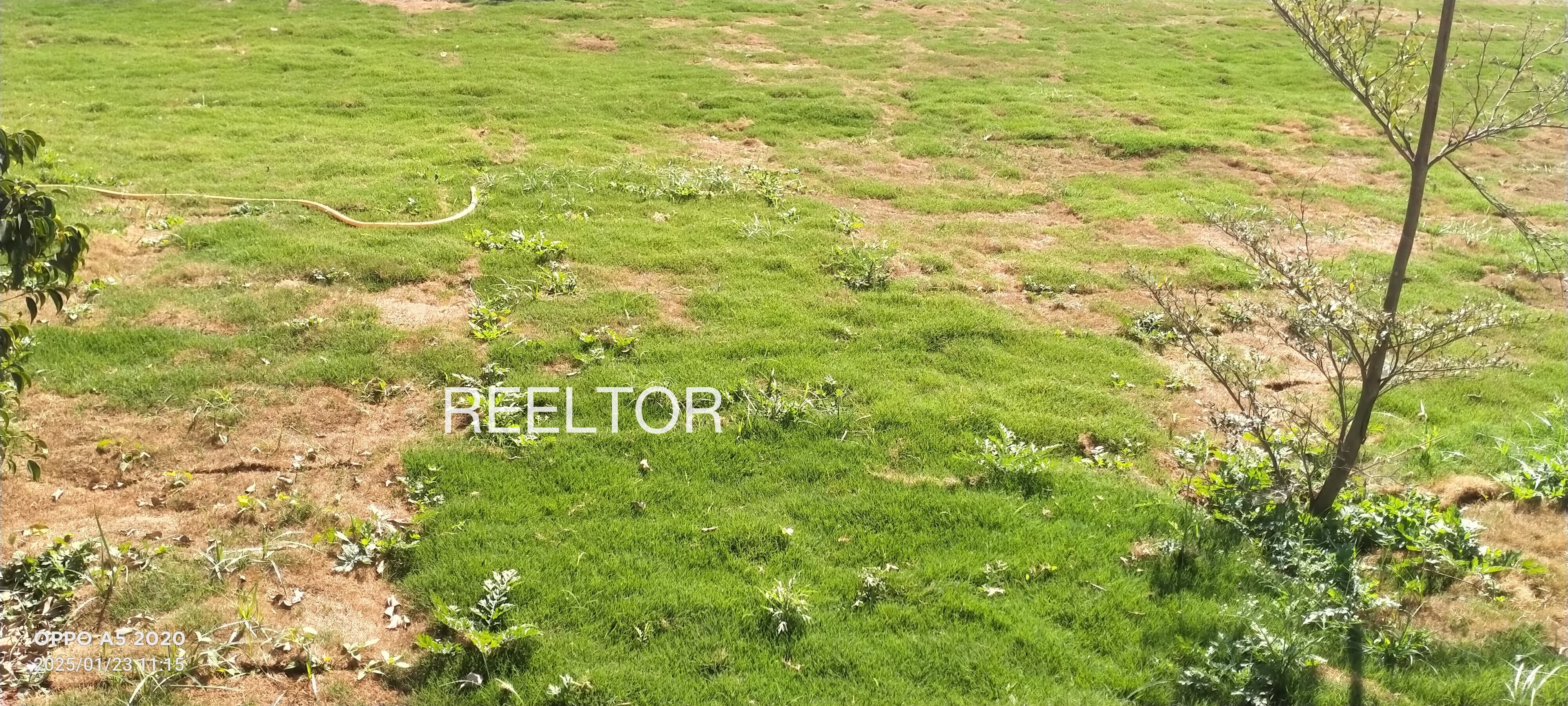 Plots For Sale In Ginri Patta Lohsana Churu