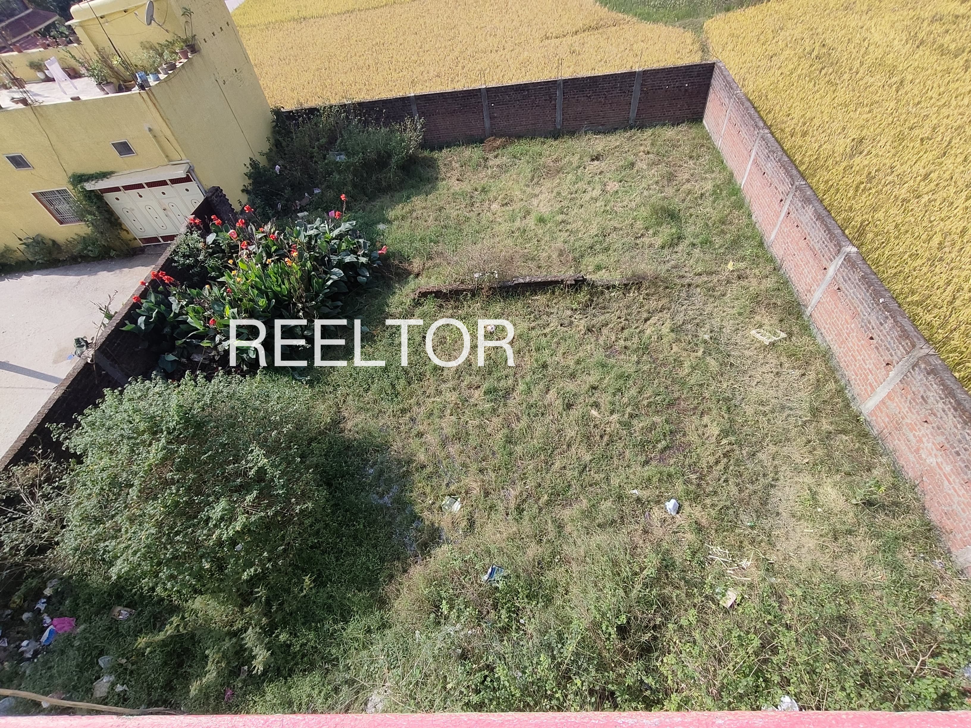 Plots For Sale In Guwalda Tijara