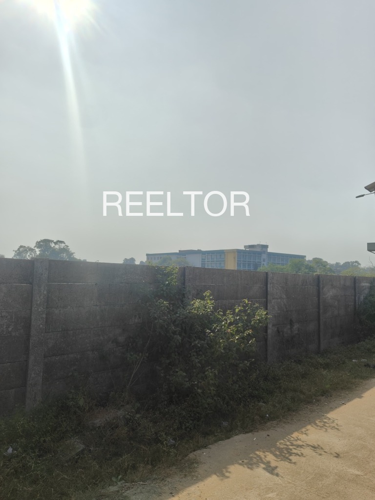 Plots For Sale In Chainpura Khurd Lalsot