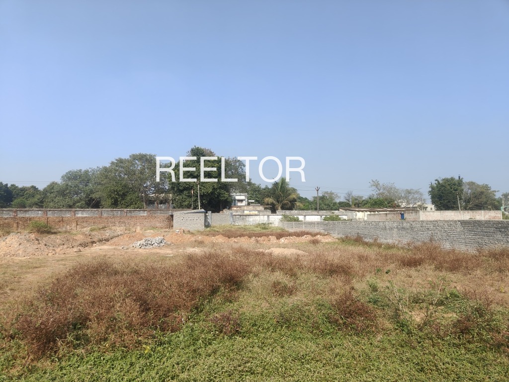 Plots For Sale In Palpur Rajgarh