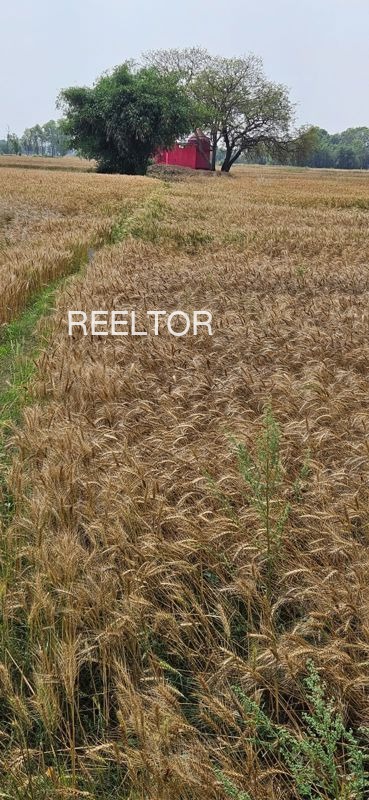 Plots For Sale In Ardwan Zari Jamani