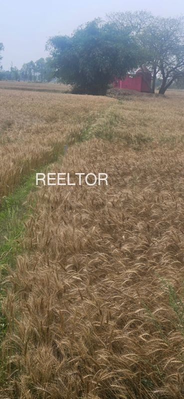 Plots For Sale In Nagla Bhatawali Kumher