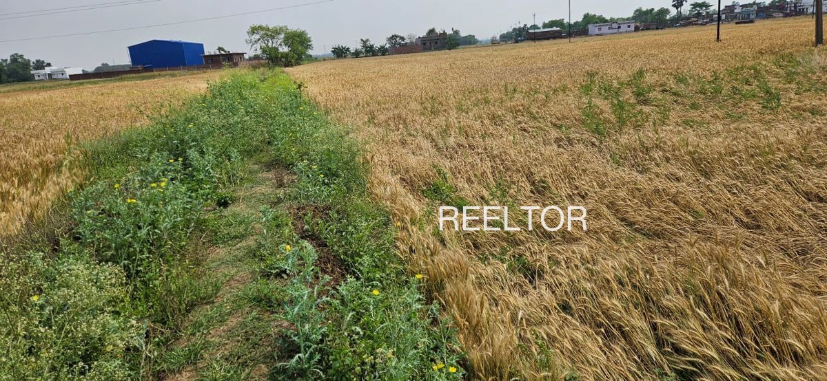 Plots For Sale In Ilaiyangudi Sirkali