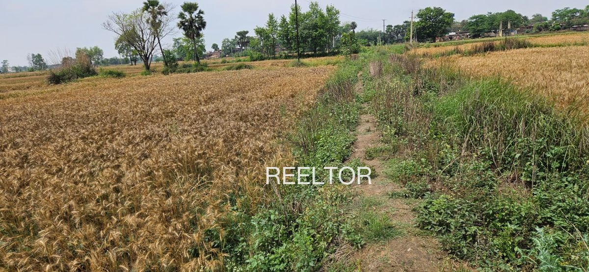 Plots For Sale In Tas Bhiwapur