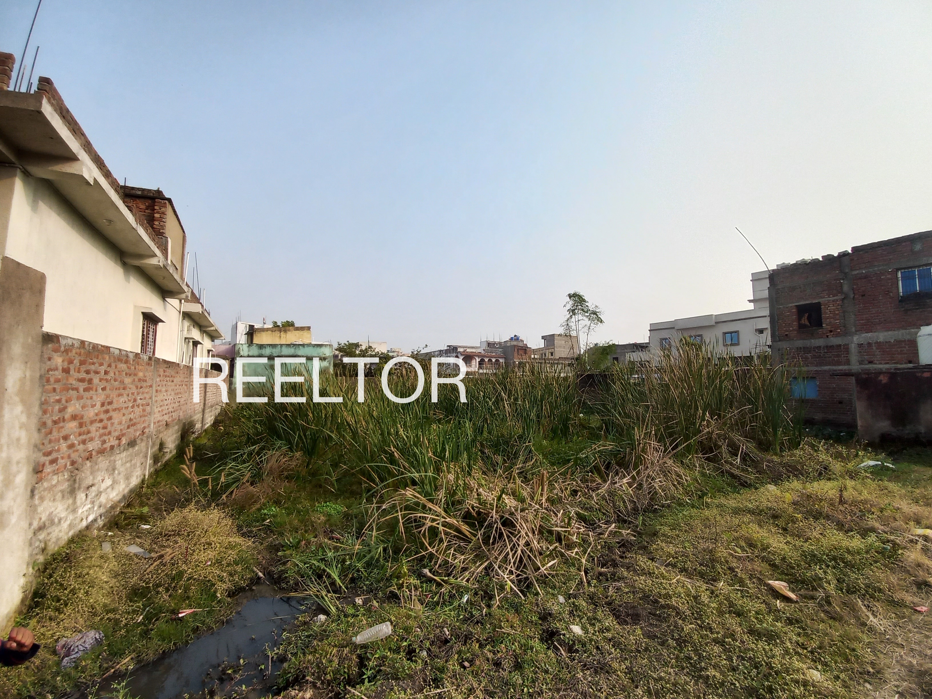 Plots For Sale In Shashivala Arasikereu