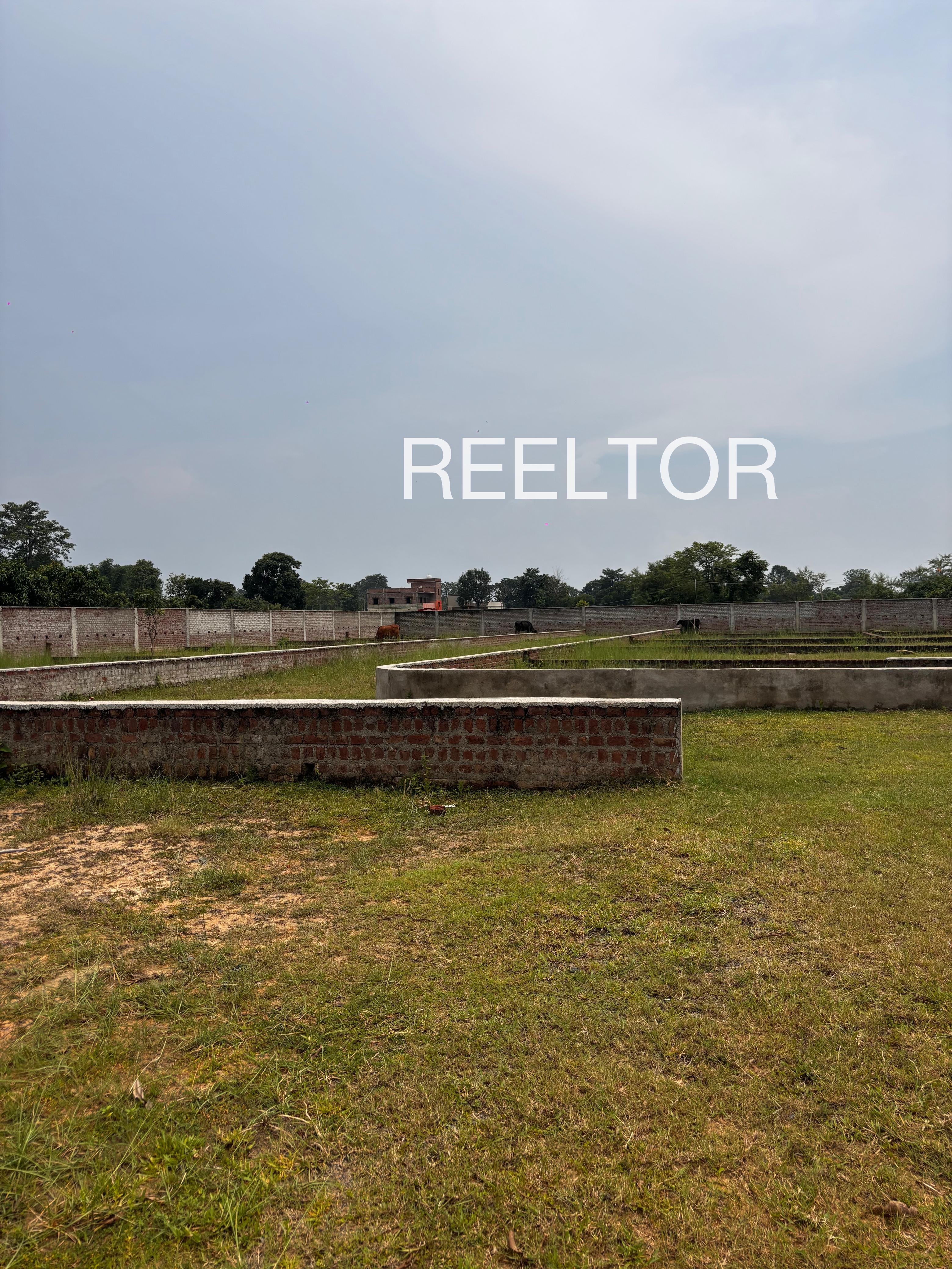 Plots For Sale In 1 Mk A Raisinghnagar