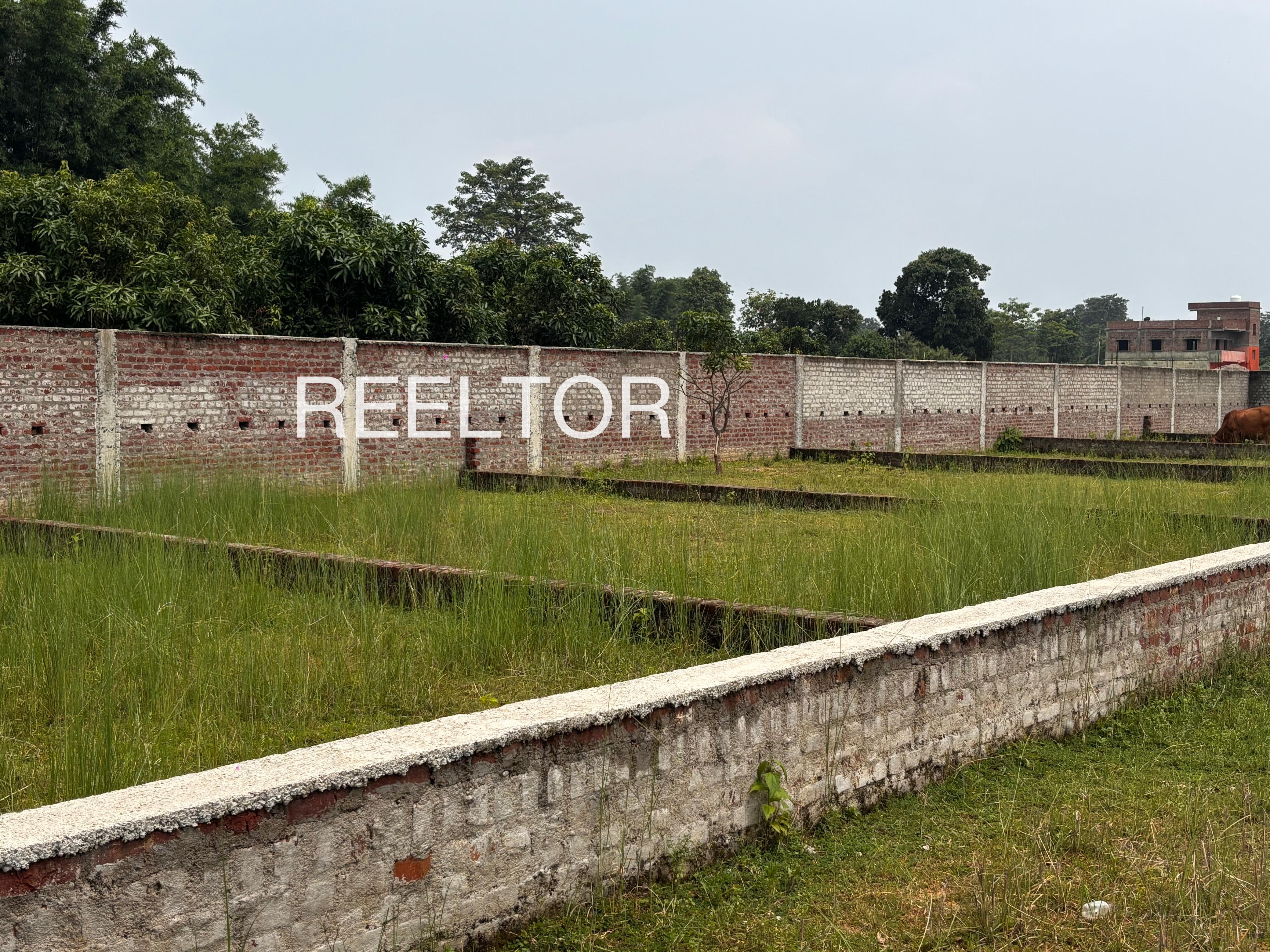 Plots For Sale In Kukudaguda Malkangiri