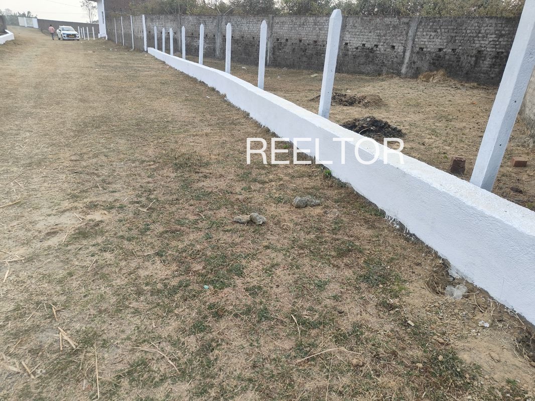 Plots For Sale In Shangra Pichhore